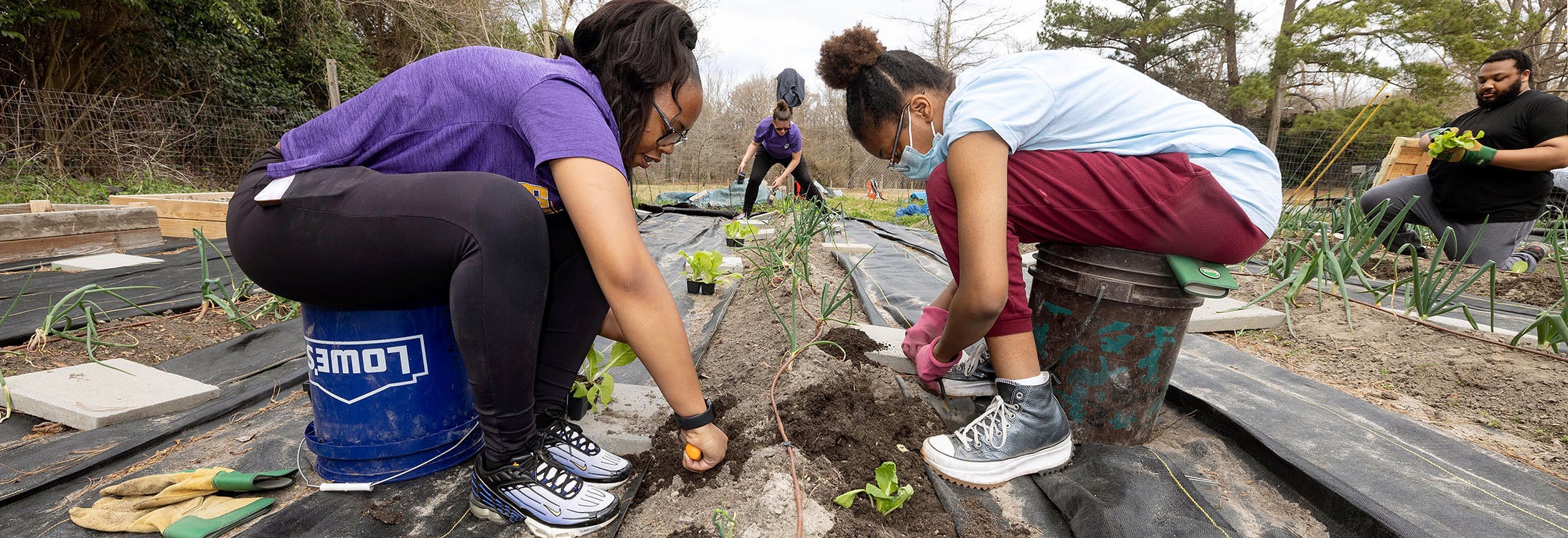 ECU students Tynajja Pittman, left, Hasani Edge and Terrell Sauders volunteer at the Greenville Community Garden and Orchard.