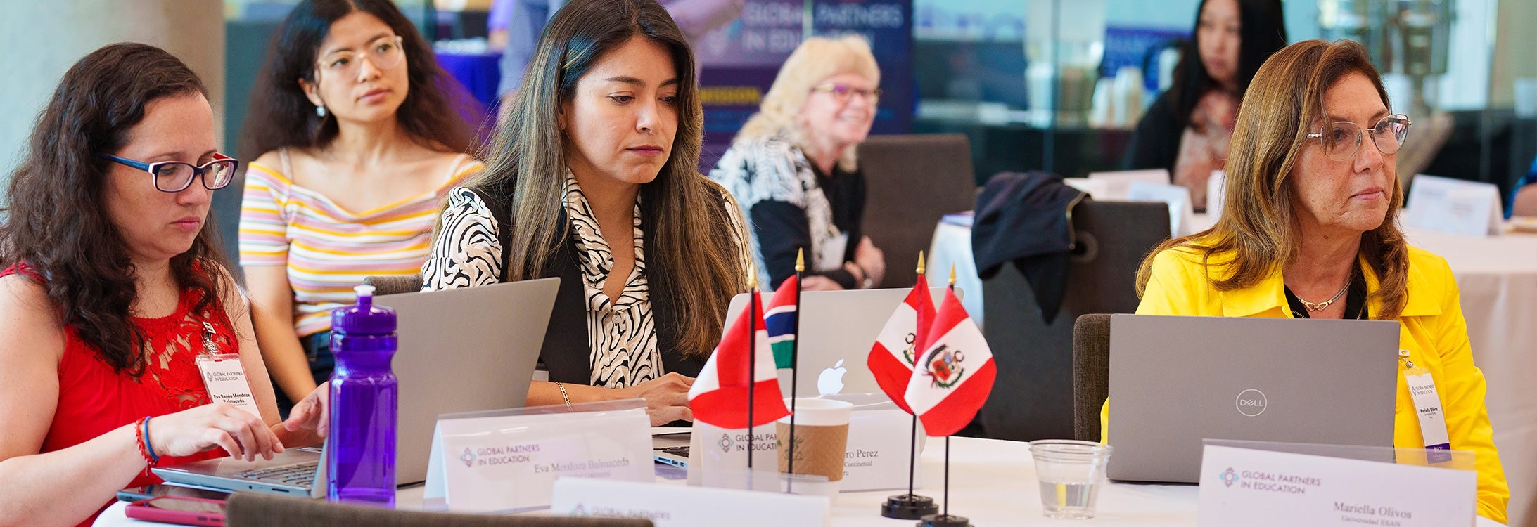 Audience comprised of representatives from various countries watch a presentation